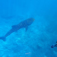 Maldives snaps 001-14