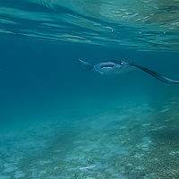 Maldives snaps 001-6