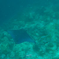 Maldives snaps 004-009