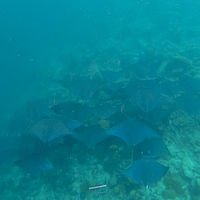 Maldives snaps 004-010