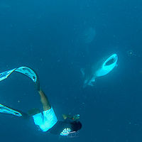 Maldives snaps 004-020