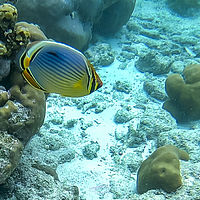 Maldives snaps 005-029