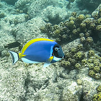 Maldives snaps 005-012