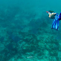 Maldives snaps 004-008
