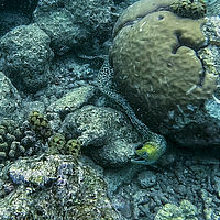 Maldives snaps 005-042