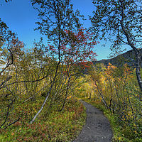 2023-09-11 13-14-50 113055000543 hdr1