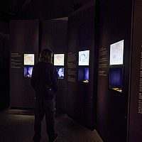 2024-05-20 11-33-15 113055000543