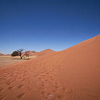 2013-09-14 12-00-36
