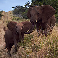 2012-05-02 06-39-04-1