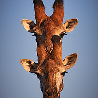 2012-05-08 16-26-42-1