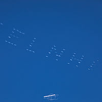 2024-6-15 20-46-16 113055000543