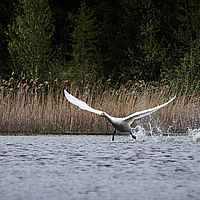 2011-06-03 15-25-28-2