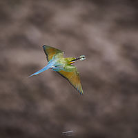 2018-11-15 10-05-00 211056001543
