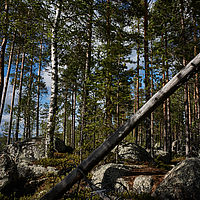 2011-06-02 17-25-04