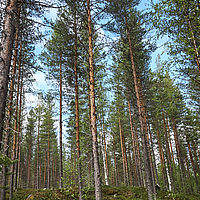 2011-06-03 11-25-23