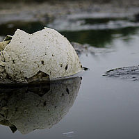 2009-03-14 11-49-41
