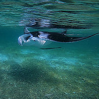 2022 10-maldives snaps 001-03