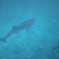 2022 10-maldives snaps 001-14