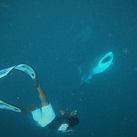 2022 10-maldives snaps 004-20