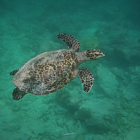 2022 10-maldives snaps 003-01
