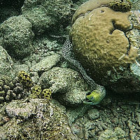 2022 10-maldives snaps 005-42