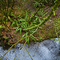 2013-02-28 15-01-17