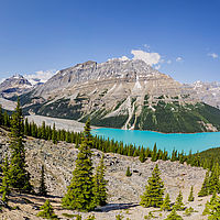 2017-07-02 11-44-00 stitch