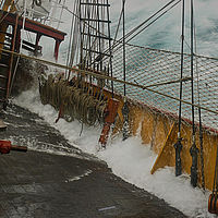 2009-04-03 09-56-50