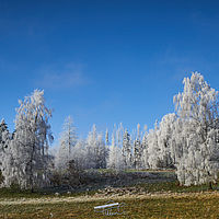 2025-01-18 12-34-16 113055000543