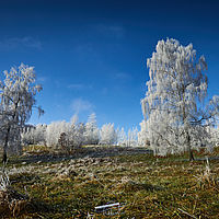 2025-01-18 12-36-08 113055000543