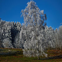 2025-01-18 12-58-59 113055000543