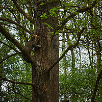 2025-04-21 15-07-55 113055000543