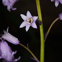 2025-05-13 19-23-15 113055000543