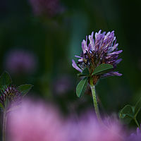 2025-05-13 19-29-16 113055000543