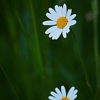 2025-05-13 19-30-17 113055000543