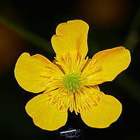 2025-05-13 19-35-16 113055000543