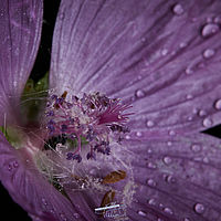 2025-07-27 09-51-42 113055000543