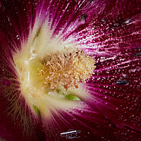 2025-07-27 09-57-14 113055000543