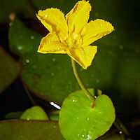 2025-07-27 14-25-57 113055000543