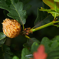 2025-07-27 14-36-26 113055000543