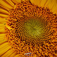 2025-07-27 17-00-53 113055000543