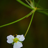 2025-07-27 17-07-25 113055000543