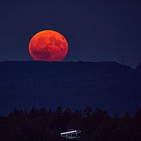 2025-08-09 21-32-55 113055000543