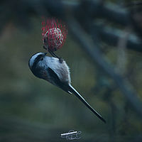 2025-03-09 17-25-55 113055000543