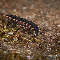 2025-04-20 14-42-08 113055000543