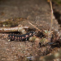 2025-04-20 14-42-53 113055000543