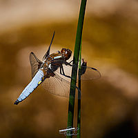 2025-05-11 11-42-15 113055000543 1