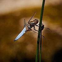 2025-05-11 11-44-41 113055000543