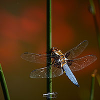 2025-05-11 11-55-15 113055000543 2