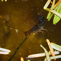 2025-05-11 12-10-27 113055000543